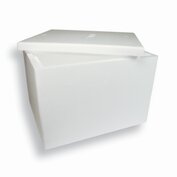 Isolatiebox voor circa 30 kilo